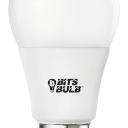 A19-Bulb-new